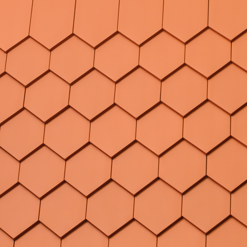 Gedeckte Fläche mit Biberschwanzziegel sechseck