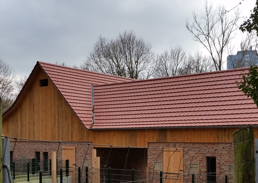 Refurbished deer park with WALTHER-tegula flat tiles in red-brown on the roof