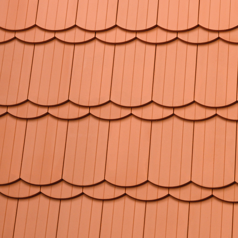 Gedeckte Fläche mit Berliner Biber