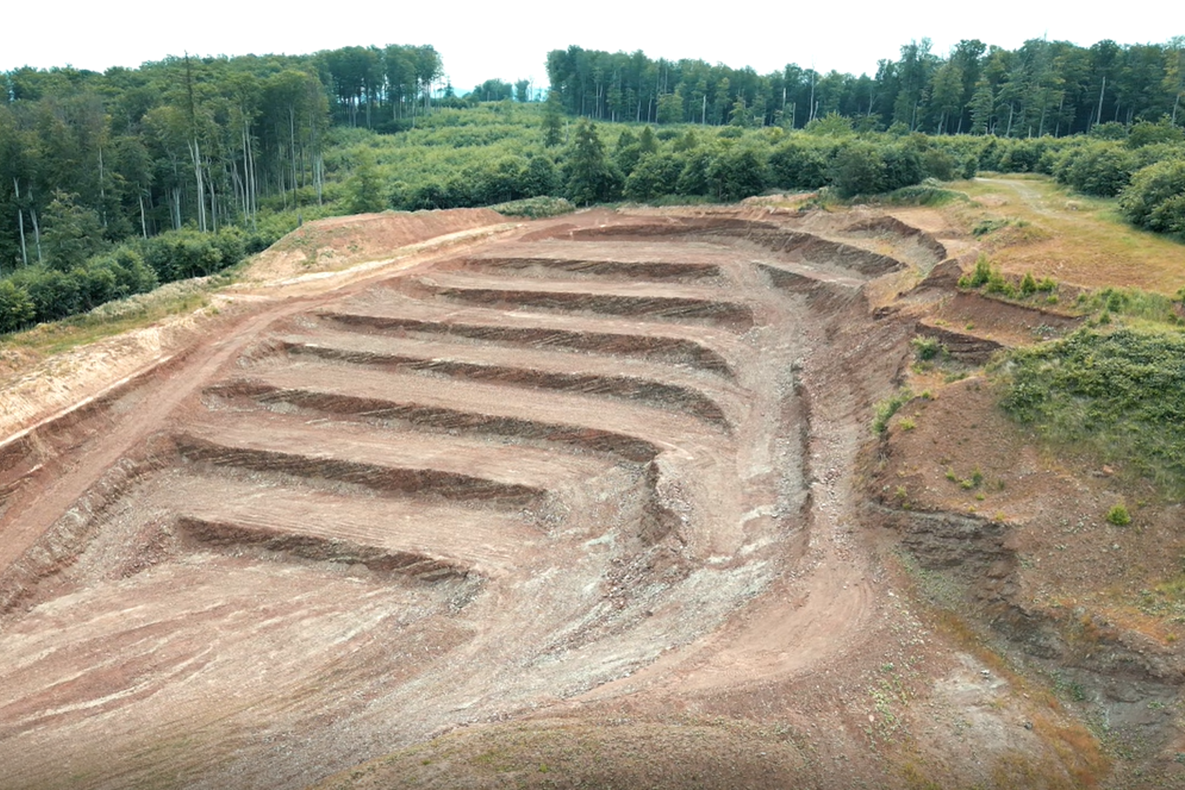 Sustainability_Plants_and_Animal_World