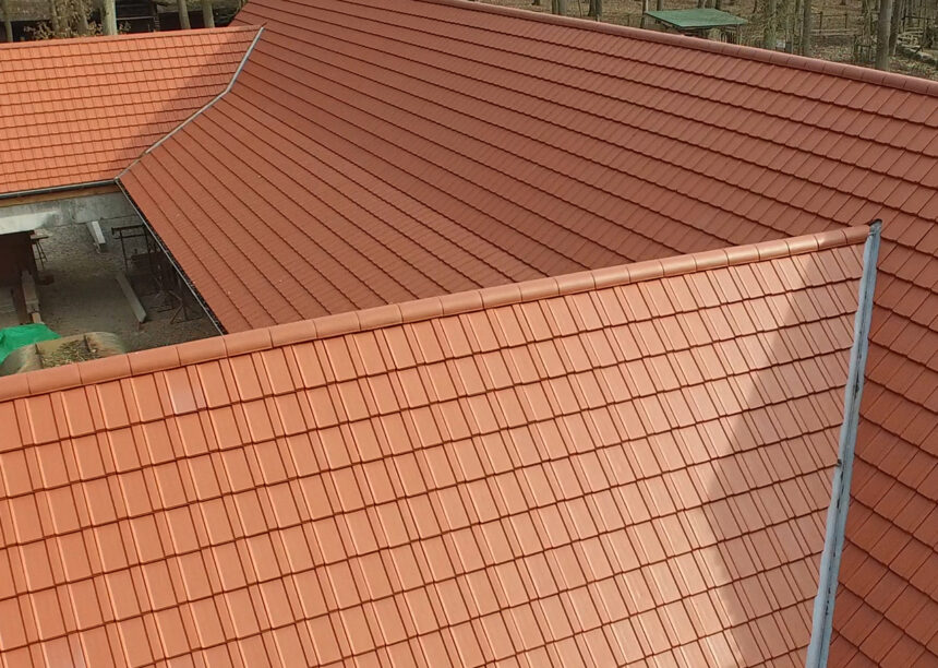 Refurbished deer park with WALTHER-tegula flat tiles in red-brown on the roof